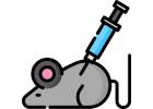 Přípravky na hubení myší